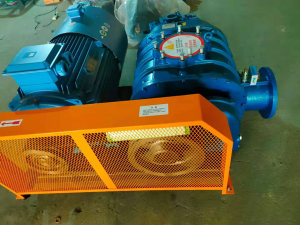 1634538206721378.jpg 1634538206721378.jpg